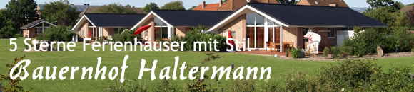 5 Sterne Ferienhäuser mit Stil